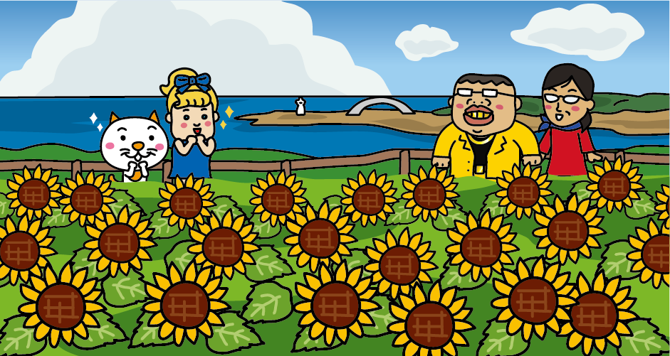Senkaku Bay / Sunflower Field