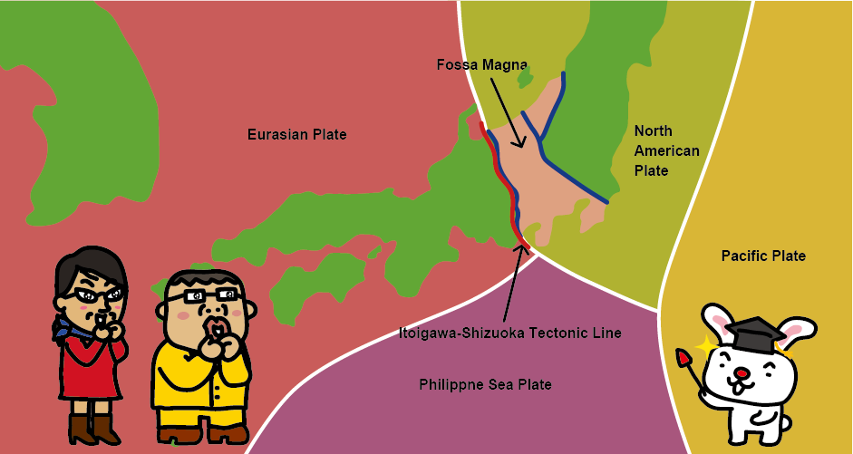 Distribution map of Fossa Magna