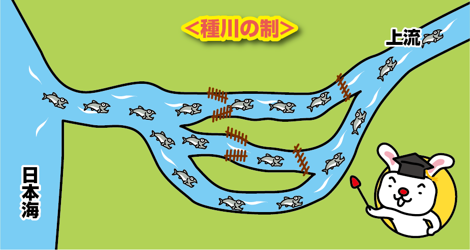 Explanatory drawing of the “Tanegawa-no-Sei (Tane River System)” (natural incubation and propagation method for salmon) invented by Buheiji Aoto in Murakami