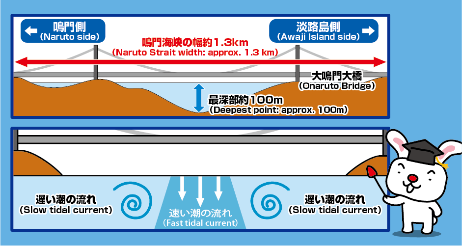渦潮のメカニズム（鳴門海峡の海底の地形と潮の流れ）概略図