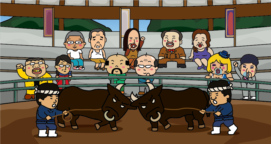 Illustration of “Ushi-tsuki (bullfight)” event held at “Oki Momo Dome” of Oki (Dogo Island)