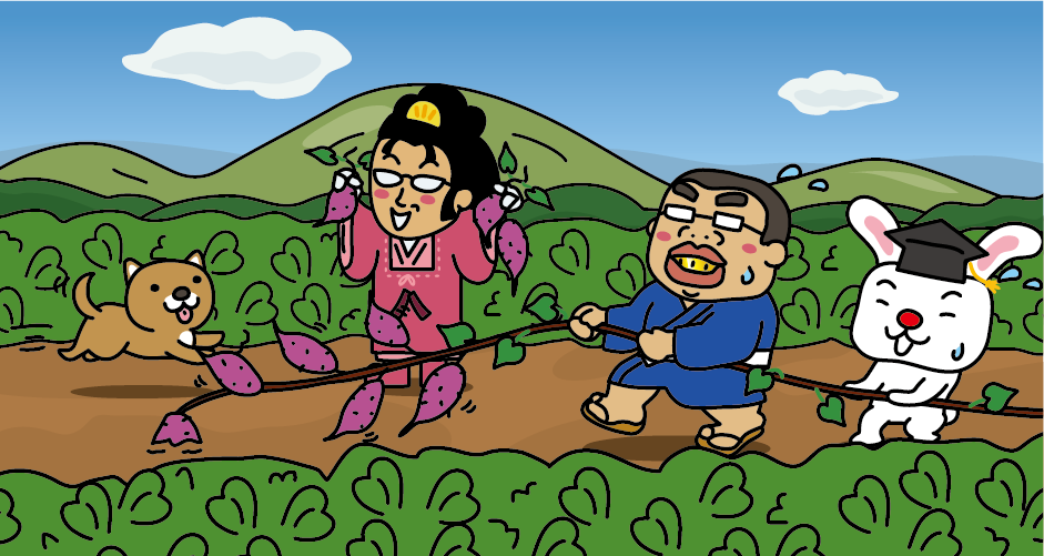 Harvesting sweet potatoes on the Shirasu Plateau in Kagoshima Prefecture