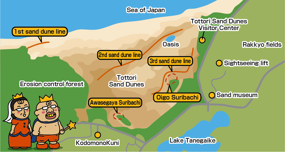 鳥取砂丘イラストマップ