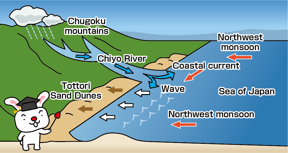 鳥取砂丘の成り立ちの概略図